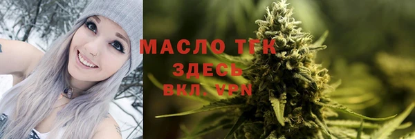 амф Менделеевск