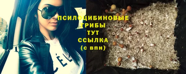 молекула духа Мензелинск