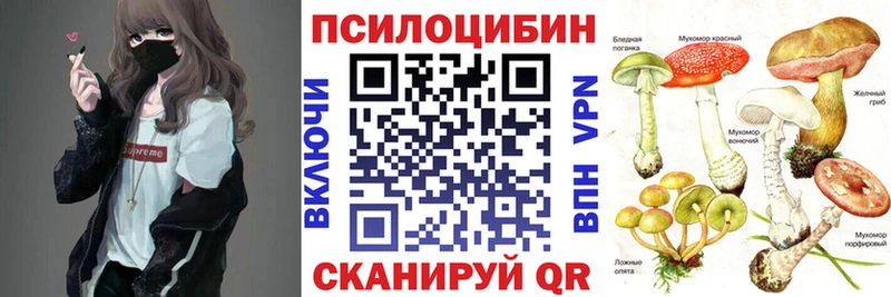 omg ТОР  Александровское  Псилоцибиновые грибы GOLDEN TEACHER 